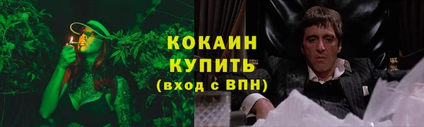 трава Армянск